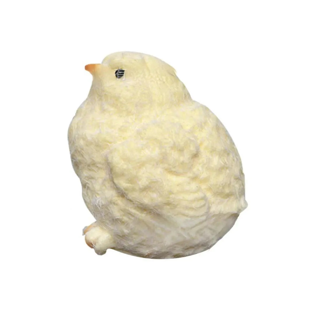 Squishy Chicken