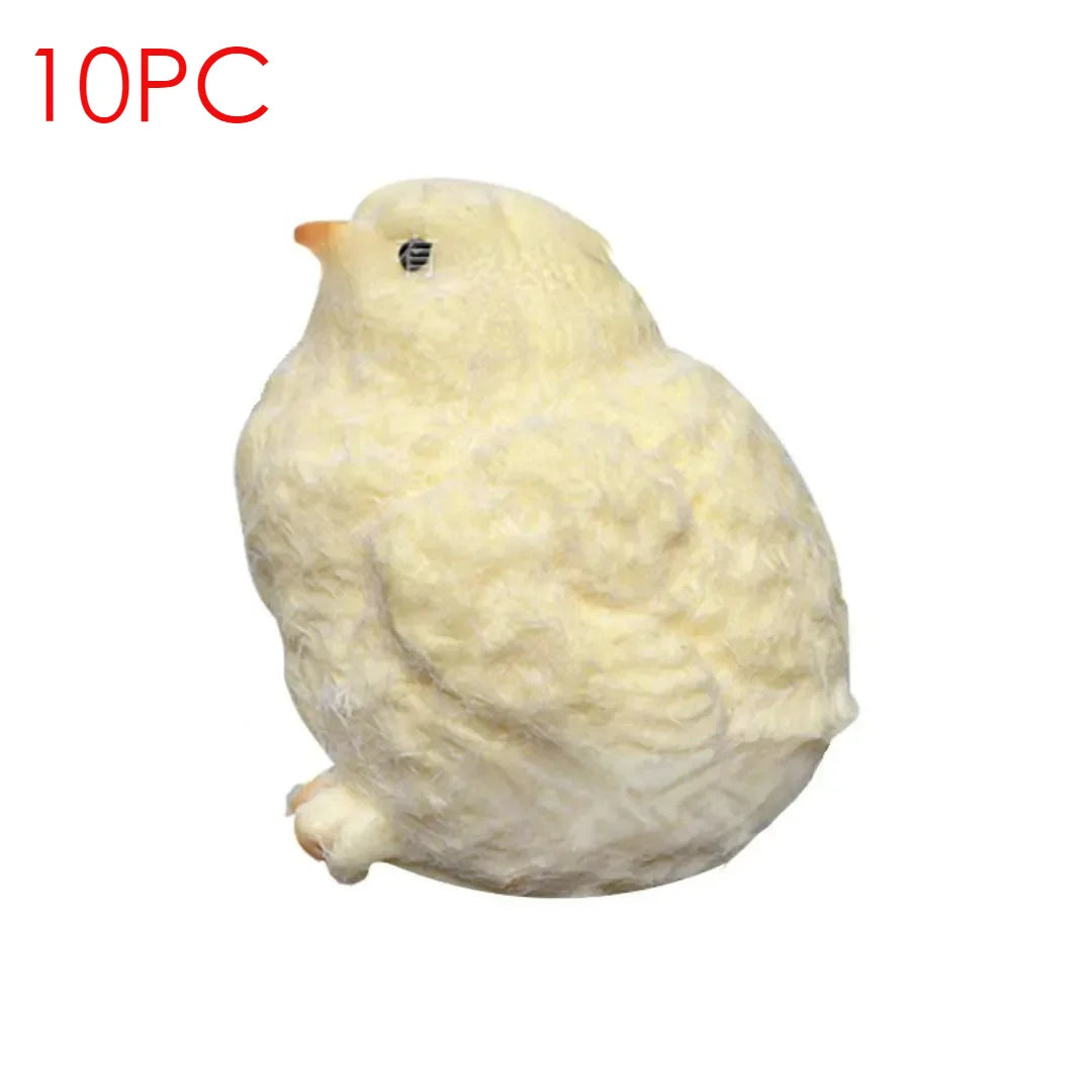 Squishy Chicken